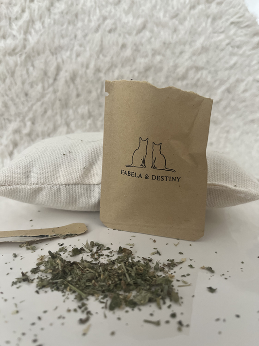 Natürliche getrocknete Katzenminze