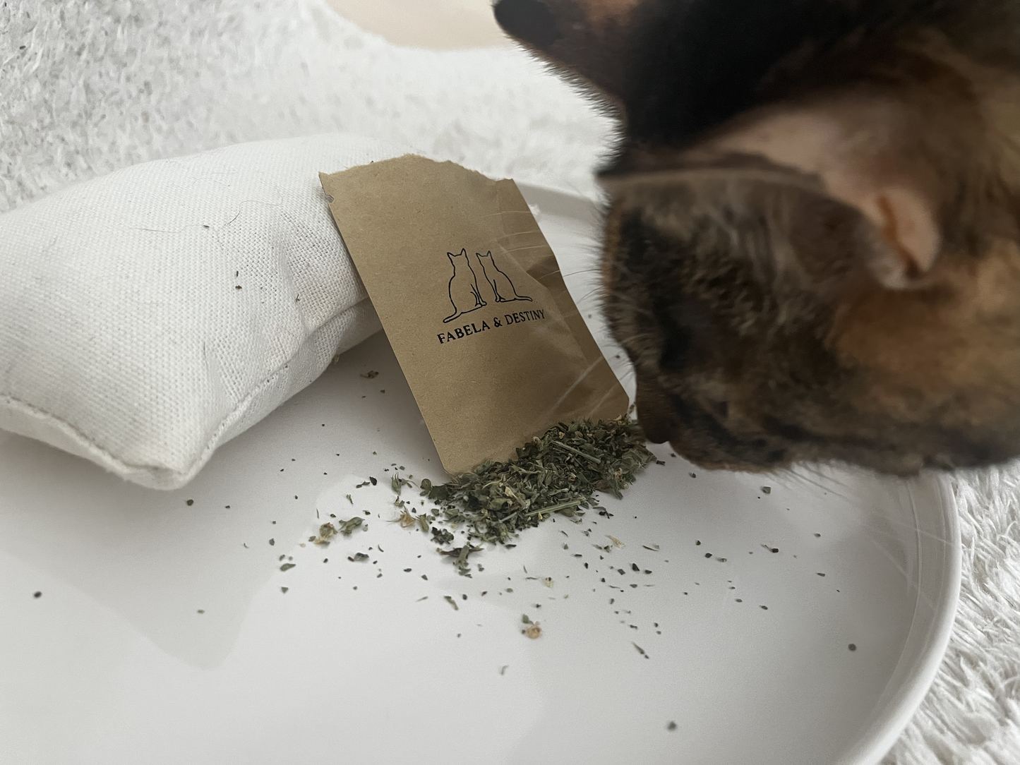 Getrocknete Katzenminze