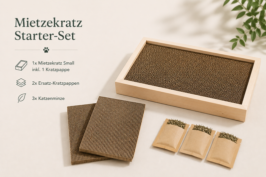 Mietzekratz small Katzenstarter-Set